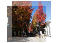 愛媛大学城北キャンパス